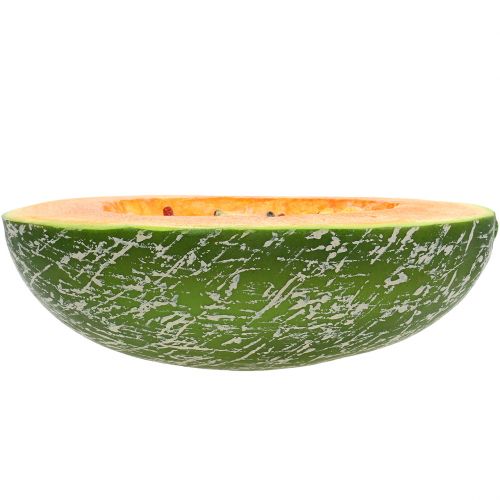 Floristik24 Melón dulce medio 22.5cm naranja claro