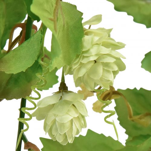 Floristik24 Guirnalda de hojas guirnalda de lúpulo verde artificial L180cm