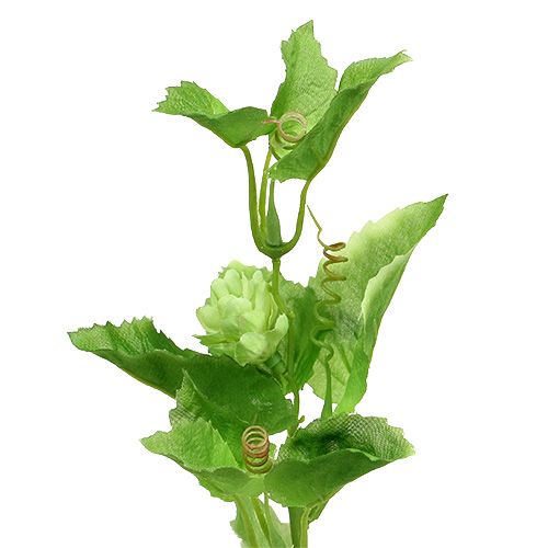 Artículo Rama de lúpulo 70 cm verde 2 piezas ¡Planta artificial como real!