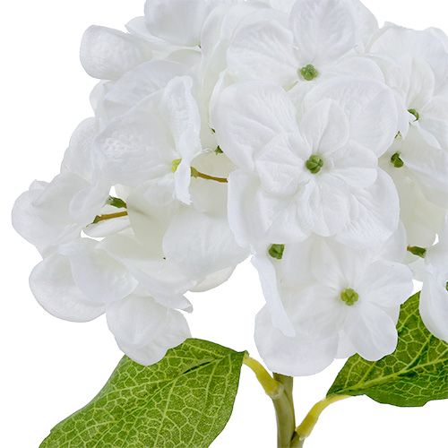 Floristik24 Hortensia 35cm blanco