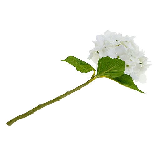 Floristik24 Hortensia 35cm blanco