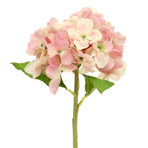 Floristik24 Hortensia rosa, crema 36cm