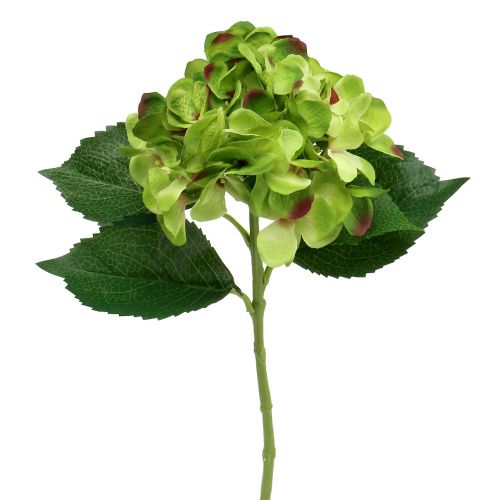Floristik24 Hortensia verde artificial para decoración L54cm