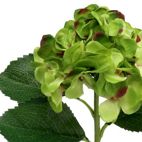 Floristik24 Hortensia verde artificial para decoración L54cm