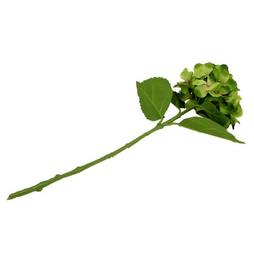 Floristik24 Hortensia verde artificial para decoración L54cm