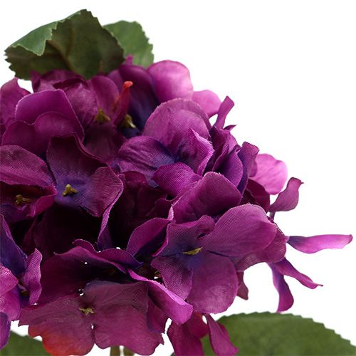 Floristik24 Hortensia Púrpura 30cm 3pcs