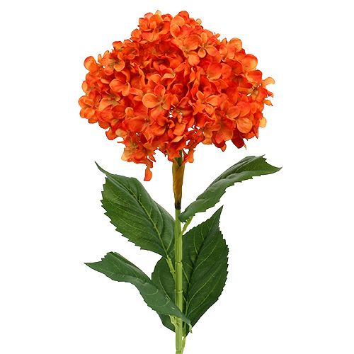 Floristik24 Hortensia naranja 80cm 1p