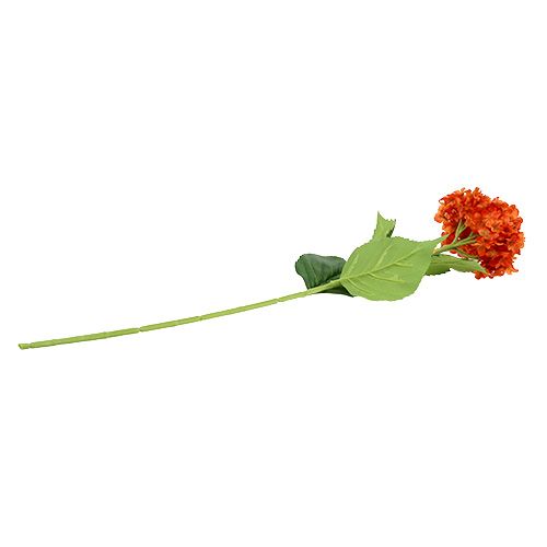 Floristik24 Hortensia naranja 80cm 1p