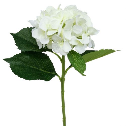 Floristik24 Hydrangea White L54cm 1pc