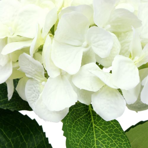 Floristik24 Hydrangea White L54cm 1pc