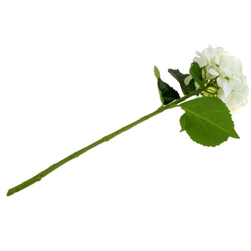 Floristik24 Hydrangea White L54cm 1pc
