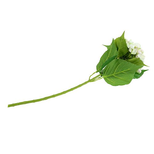 Hortensia blanco-verde 60cm | Floristik24.es