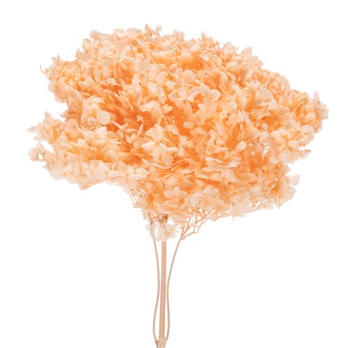 Ramo de flores secas de hortensias para elegantes decoraciones florales en el hogar, 65cm