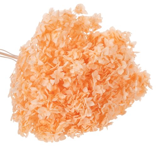 Artículo Ramo de flores secas de hortensias para elegantes decoraciones florales en el hogar, 65cm