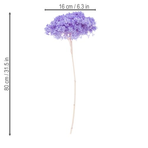 Artículo Flor de hortensia seca para un elegante diseño y decoración de interiores, 80 cm