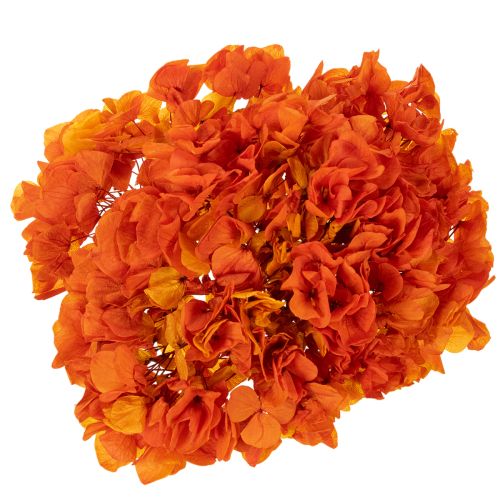 Hortensia preservada y teñida, flor grande con tallo largo, 60 cm. | Floristik24.es