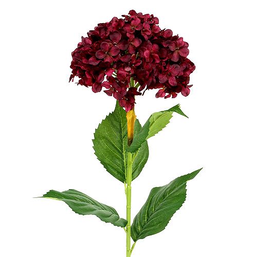 Floristik24 Hortensia artificial rojo oscuro 80cm 1 pieza