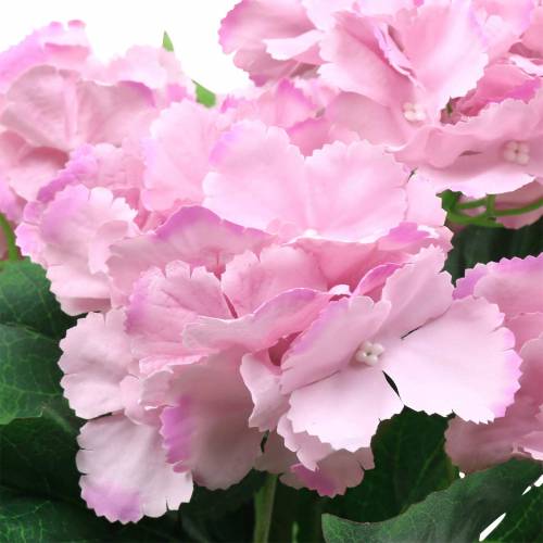 Floristik24 Hortensia en Maceta Rosa Artificial 35cm