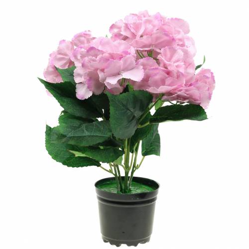 Floristik24 Hortensia en Maceta Rosa Artificial 35cm