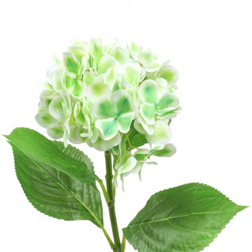 Artículo Hortensia artificial verde, blanco 68cm