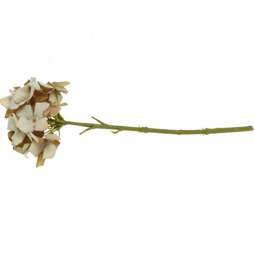 Floristik24 Hortensia flor artificial marrón, blanca decoración de otoño flor de seda H32cm
