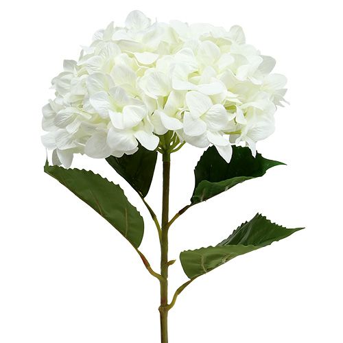 Hortensia Maxi Blanco Ø30cm L113cm