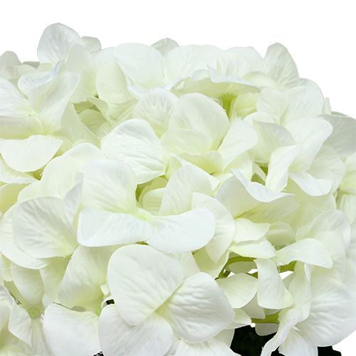 Floristik24 Hortensia Maxi Blanco Ø30cm L113cm