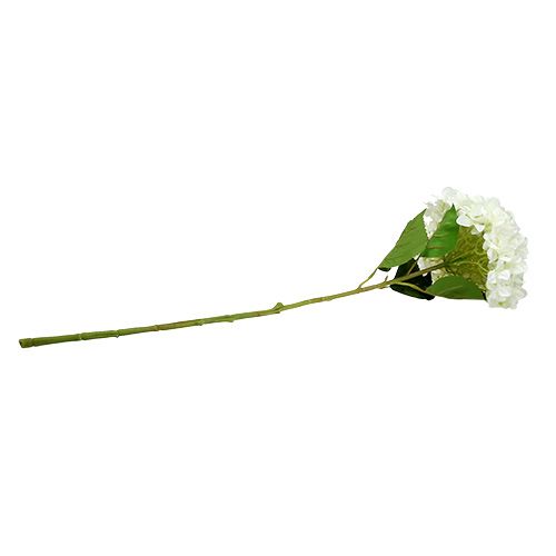 Floristik24 Hortensia Maxi Blanco Ø30cm L113cm
