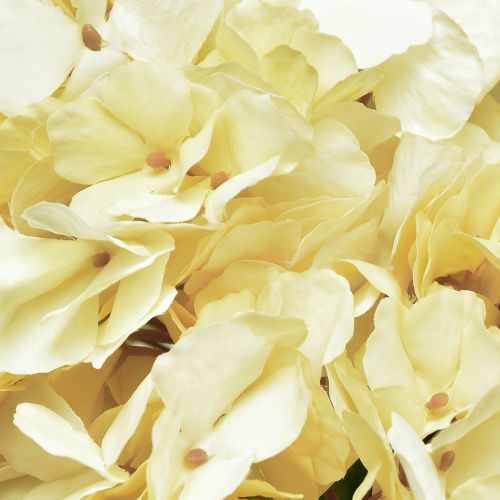 Floristik24 Ramo de hortensias flores artificiales amarillo 5 flores 48cm