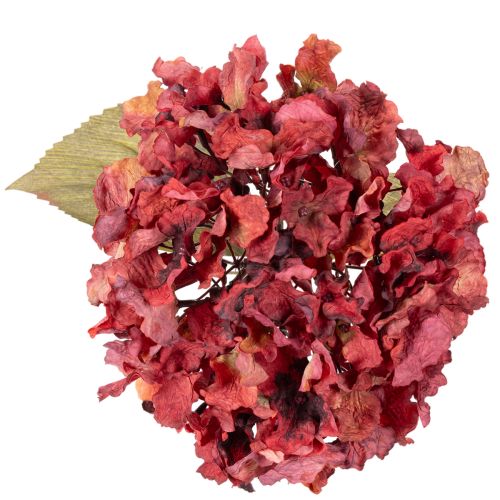 Rama de hortensia artificial en flor, flor grande, 74 cm. | Floristik24.es