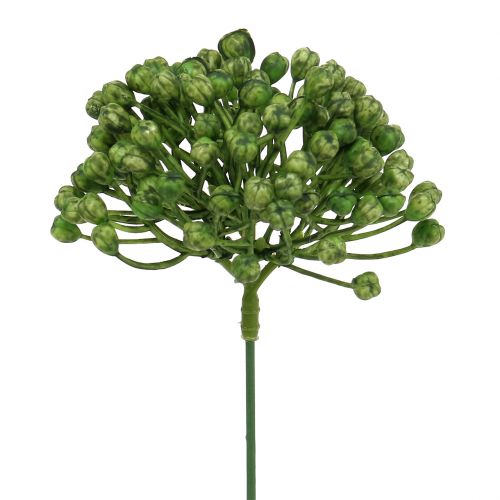 Palillo de capullos de hortensia 22cm verde 12uds