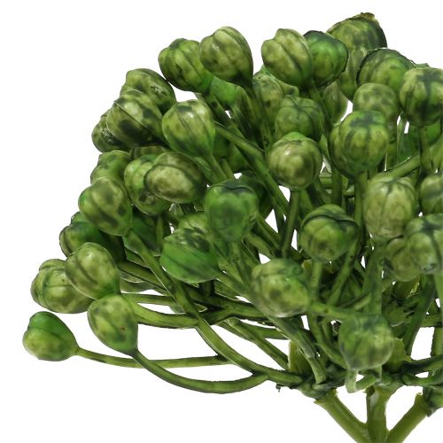 Artículo Palillo de capullos de hortensia 22cm verde 12uds