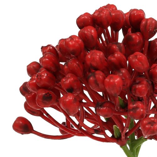 Artículo Palillo de capullos de hortensia 22cm rojo 12ud