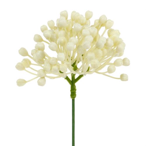 Palillo de capullos de hortensia 22cm crema 12ud