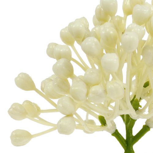 Artículo Recolección de capullos de hortensias 22cm crema 12pcs