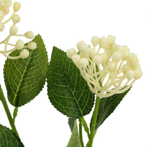 Artículo Hydrangea bud branch 55cm crema 6pcs