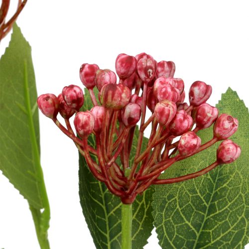 Artículo Rama de brote de hortensia 55cm rosa 6pcs