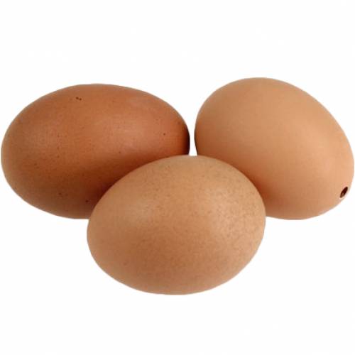 Floristik24 Huevos De Gallina Marrón 10uds