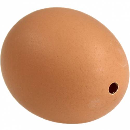 Artículo Huevos de gallina marrones 10 piezas