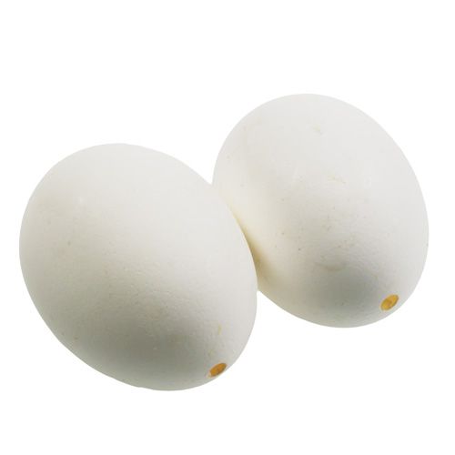 Huevos de gallina blancos 10uds