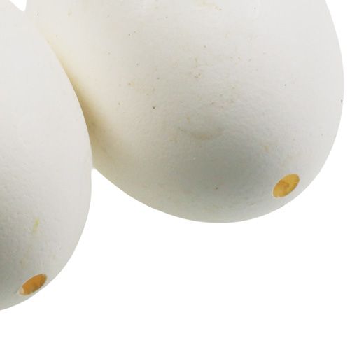 Floristik24 Huevos de gallina clara 10 uds.