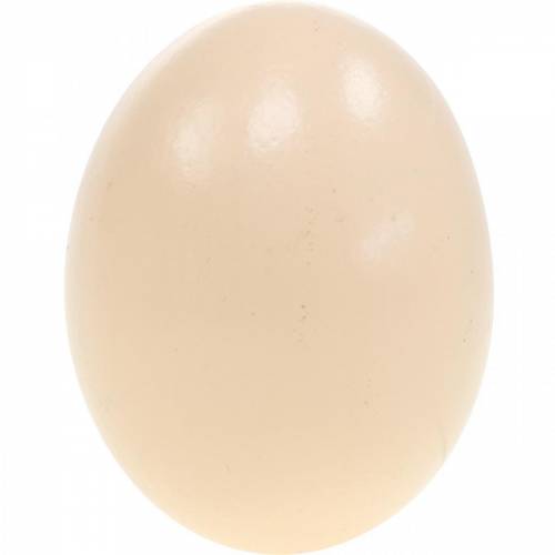 Artículo Huevo De Pollo Crema Decoración De Pascua Huevos Soplados 10 Piezas
