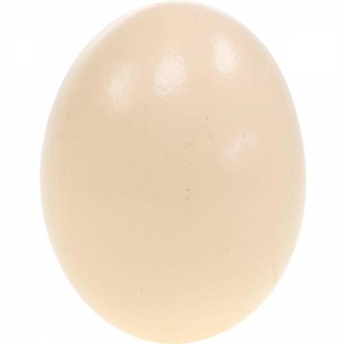 Artículo Huevos de Gallina Crema Decoración de Pascua Huevos Soplados 10 piezas