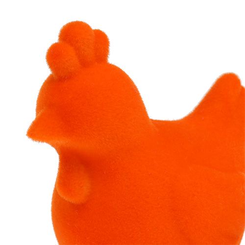 Floristik24 Pollo reunido Pascua figuras decoración de mesa Pascua colorido 8 piezas