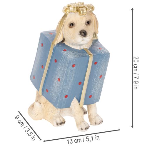 Figura decorativa de perro, cachorro sentado, en caja de regalo, 20 cm. | Floristik24.es