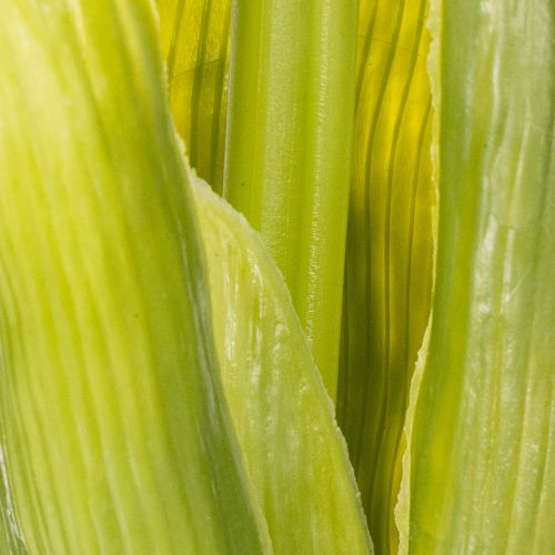 Artículo Jacinto Real-Touch Rosa 40cm