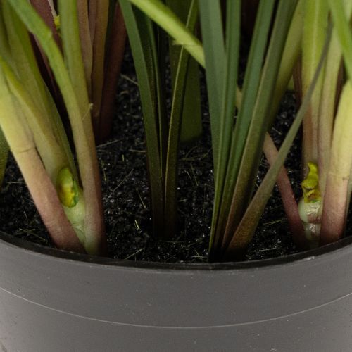 Artículo Planta de jacinto artificial en maceta, decoración perfecta para el hogar y la oficina, 26 cm