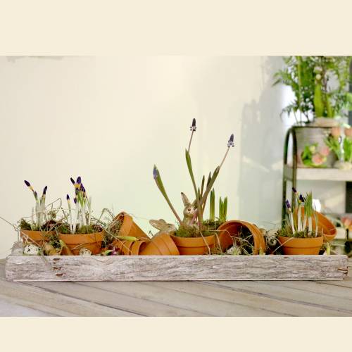 Artículo Bandeja de madera con corteza natural blanqueada 59×20cm 2ud