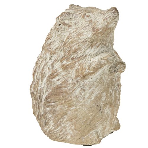 Figura decorativa otoñal de erizo de piedra fundida blanca lavada H14,5cm