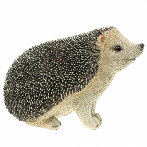 Floristik24 Figura decorativa erizo 22cm